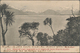 Fiji-Inseln: 1907 Picture Postcard Used Unfranked From Auckland To Suva, With Auckland 12 June 1907 - Fiji (...-1970)