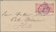 Hawaii - Ganzsachen: 1892 Postal Stationery Envelope 2c. (View Of Honolulu Harbor), Used In Hilo Loc - Hawaii
