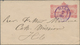 Hawaii - Ganzsachen: 1892 Postal Stationery Envelope 2c. (View Of Honolulu Harbor), Used In Hilo Loc - Hawaï