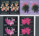 Jamaica: 2007, Christmas 'Flowers' Complete Set Of Four (Tolumnia Triquetra, Broughtonia Negrilensis - Jamaica (1962-...)