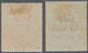 Kenia - Britisch Ostafrika: 1897, QV 1r. Grey-blue And 4r. Carmine Both Mint Hinged With Minor Gum C - Britisch-Ostafrika