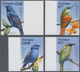 Nicaragua: 2000, Birds Of America Complete IMPERFORATE Set Of Four From Left Or Right Margins, Mint - Nicaragua