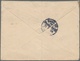 Vereinigte Staaten Von Amerika: 1904, Pictured Cover With Single Franking 5c. Blue McKinley From For - Covers & Documents