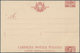 Italien - Ganzsachen: 1903/1923: 10 C "Floreale" And 40 C "Michetti" Postal Stationery Cards Both Wi - Stamped Stationery