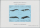 Monaco: 1992/1994, MONACO: Whales And Dolphins Set Of Three Different IMPERFORATE Miniature Sheets, - Unused Stamps