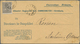 Norwegen: 1868, 1 Skilling Black, Single Franking On Advertising Envelope 'Alb. Cammermeyer', Sent F - Covers & Documents