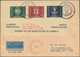Österreich - Privatganzsachen: 1950, Flight Cover With Used Private Postal Stationery Air Mail Lette - Other & Unclassified