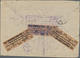 Sowjetunion - Gebührenmarken Für Tauschsendungen: 1924, Registered Cover For Stamp Exchange From Ros - Sonstige & Ohne Zuordnung