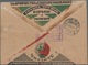 Sowjetunion - Besonderheiten: 1933, Stampless Express Cover With Printed Inscriptions On Reverse In - Sonstige & Ohne Zuordnung