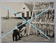 Photo NIEUWPOORT 1962 Oude Huis Kust Côte Belgïe Vis Poisson Pêche Visser - Orte