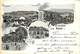 DIVONNE Les BAINS-1899 - Divonne Les Bains