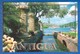 Antigua Und Barbuda; West Indies - Antigua Und Barbuda