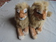 Delcampe - Couple De Lions En Peluche - Knuffels