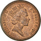 Monnaie, Grande-Bretagne, Elizabeth II, Penny, 1990, British Royal Mint, TTB - 1 Penny & 1 New Penny