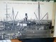 AFRIQUE OCCIDENTALE FRANCAISE - SENEGAL - DAKAR - DOUANE  NAVE SHIP  CARGO  TRE ANIME VB1919 TIMBRE ITALIA  HK4149 - Senegal