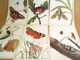 Delcampe - They Need To Be Rescued. Issue 4. A Set Of 16 Postcards. 1987 - Insectos