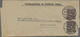 Deutsches Reich - Inflation: 1923. Kreuzbandsendung Der Frankfurter Zeitung Mit MeF 2x 30 M Posthorn - Briefe U. Dokumente