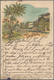 Deutsch-Ostafrika: 1898, 10 Pf. Karmin A. Lithokarte "Gruss Aus Tanga" Ab "TANGA 20/5 98" An C/o Zuc - German East Africa