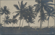 Deutsch-Ostafrika - Ganzsachen: 1908, Private Ganzsachenpostkarte Wst. 2½ Heller Kolonialschiffszeic - Deutsch-Ostafrika