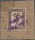 Feldpostmarken: 1943, Tunis-Päckchenmarke Auf Wabenartigem, Genetzten Papier Mit Violettem L2 "Bei D - Other & Unclassified