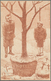 Ansichtskarten: Künstler / Artists: Orens Denizard, Le Burin Satirique, 1904, Nr. 38, 40-43, 5 Karte - Ohne Zuordnung