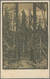 Delcampe - Ansichtskarten: Künstler / Artists: OSTROUMOVA-LEBEDEVA, Anna Petrowna (1871-1955), Russisch-sowjeti - Ohne Zuordnung