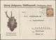 Delcampe - Ansichtskarten: Motive / Thematics: ADEL / MONARCHIE / JAGD, Eine Prachtvolle Sammlung Der HOHENZOLL - Other & Unclassified