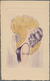 Ansichtskarten: Motive / Thematics: FRAUEN 1910/1930 (ca.), Vielseitige Partie Von Ca. 114 Ansichtsk - Other & Unclassified