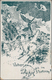 Ansichtskarten: Alle Welt: LICHTENSTEIN, Kuriose Partie 44 Historischen Ansichtskarten Ab Ca. 1900 B - Unclassified