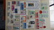 Delcampe - B367 Collection De Timbres D'Allemagne ** Dont Bonnes Petites Valeurs. A Saisir  !!! - Collections (with Albums)