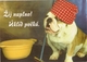 AN 558  , FANTASY POSTCARD , CPM  ,  DOGS , HUMOUR - Chiens