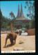 Los Angeles ZOO - Asian Elephant [AA29-1.889 - Other & Unclassified