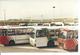 Photo D'Archive - CARS URBAINS DE MONTPELLIER -  ( BUS - CAR  ) - Montpellier