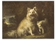 AN 570  , FANTASY POSTCARD , CPM  ,  DOGS  , FINE ART , PAINTINGS , T. GAINSBOROUGH - Chiens