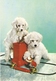 AN 579  , FANTASY POSTCARD , CPM  ,  DOGS  , - Honden