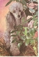 AN 582  , FANTASY POSTCARD , CPM  ,  DOGS  , FINE ART , PAINTINGS - Chiens