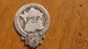 PSF PARTI SOCIAL FRANCAIS EPINGLE BROCHE 3em CONGRES NATIONAL PARIS 1938 FORMAT 3 X 2.50 CM HORS EPINGLE - Sonstige & Ohne Zuordnung