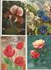 Delcampe - CPSM Et CPM, Th. Fleurs Lot De 50 Cartes Semi-Modernes Et Modernes , Fleurs 1950 - 1990 - Fleurs