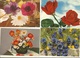 Delcampe - CPSM Et CPM, Th. Fleurs Lot De 50 Cartes Semi-Modernes Et Modernes , Fleurs 1950 - 1990 - Fleurs