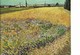 Vincent Van Gogh - Kornfeld Bei Arles - Non Classés