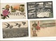 Delcampe - CPA ,Lot De 28 Cartes Souvenirs  ,1910-1960 - Cartes Géographiques