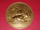 SUPERBE MÉDAILLE BRONZE ANIMAUX DE LA FERME CHEVAL VACHE OVINS BASSE COURS   Graveur LAGRANGE DUBOIS 94 Gr. Dia. 57 Mm - Other & Unclassified