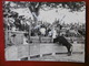 LES PALUDS DE NOVES ARENES TAUREAU COURSE CAMARGUAISE 1959 PHOTO RENAUD A SAINTES MARIES DE LA MER 24 X 18 CM - Lieux