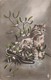 Chat Chats Chaton Cpa Carte Ecrite En 1914 - Chats