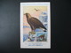 Carte Maximum Card Maximum Oiseaux Vogels Aigle Royal  Postes Afghanes Kaboul 1946 Musée Royal D'Histoire Naturelles - Aigles & Rapaces Diurnes