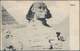 Delcampe - Ägypten: 1900/1930 (ca.), Collection Of Apprx. 290 Ppc. In An Album, Nice Range Of Different Views, - 1866-1914 Khedivato De Egipto