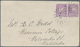 Neusüdwales: 1865/1910 (ca.), POSTAL STATIONERY: Accumulation With About 220 Mostly Different Postal - Cartas & Documentos