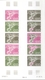 Französisch-Polynesien: 1958/1978, IMPERFORATE COLOUR PROOFS, MNH Collection Of 28 Complete Sheets ( - Cartas & Documentos