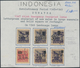 Delcampe - Indonesien - Lokalausgaben: 1945/50, Very Specialized Collection On Pages/stock Cards In Two Large S - Indonesië