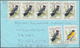 Kamerun: 1890/1990, Ca. 80 Covers, Mostly Of The Colonial Time And Sent To France, Incl. Registered - Kameroen (1960-...)